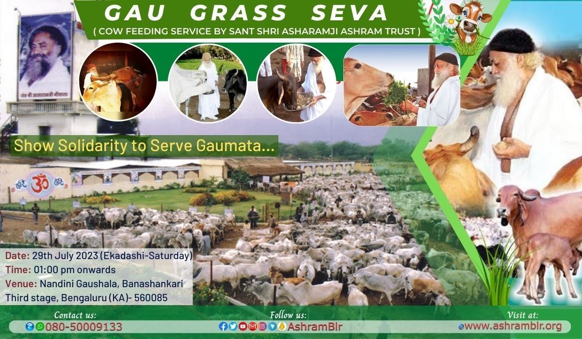 Guagrass Seva at Nandini Gaushala by Ashram Trust.